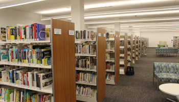 Bookshelves in the adult department