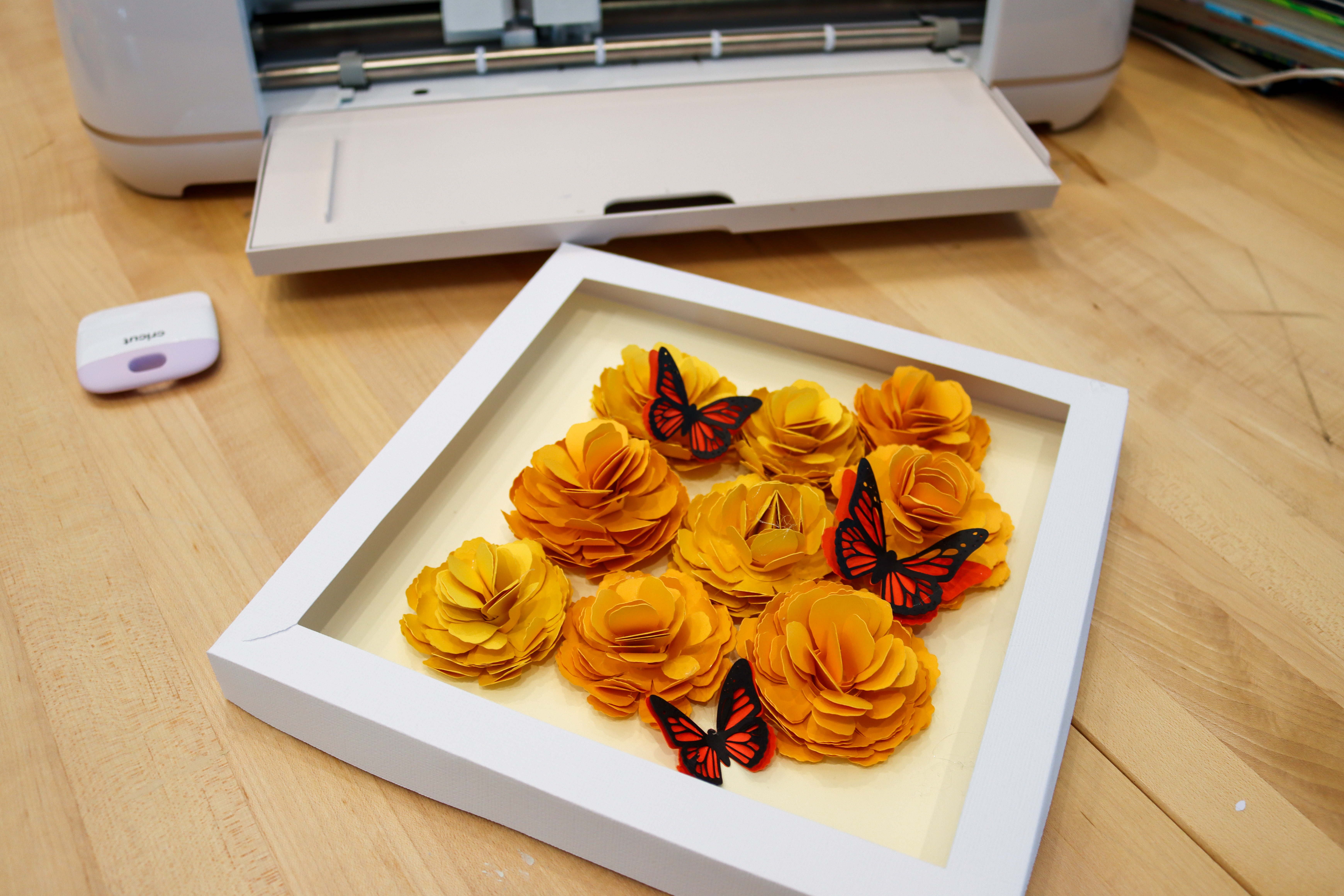 Monarch Butterfly Shadow Box