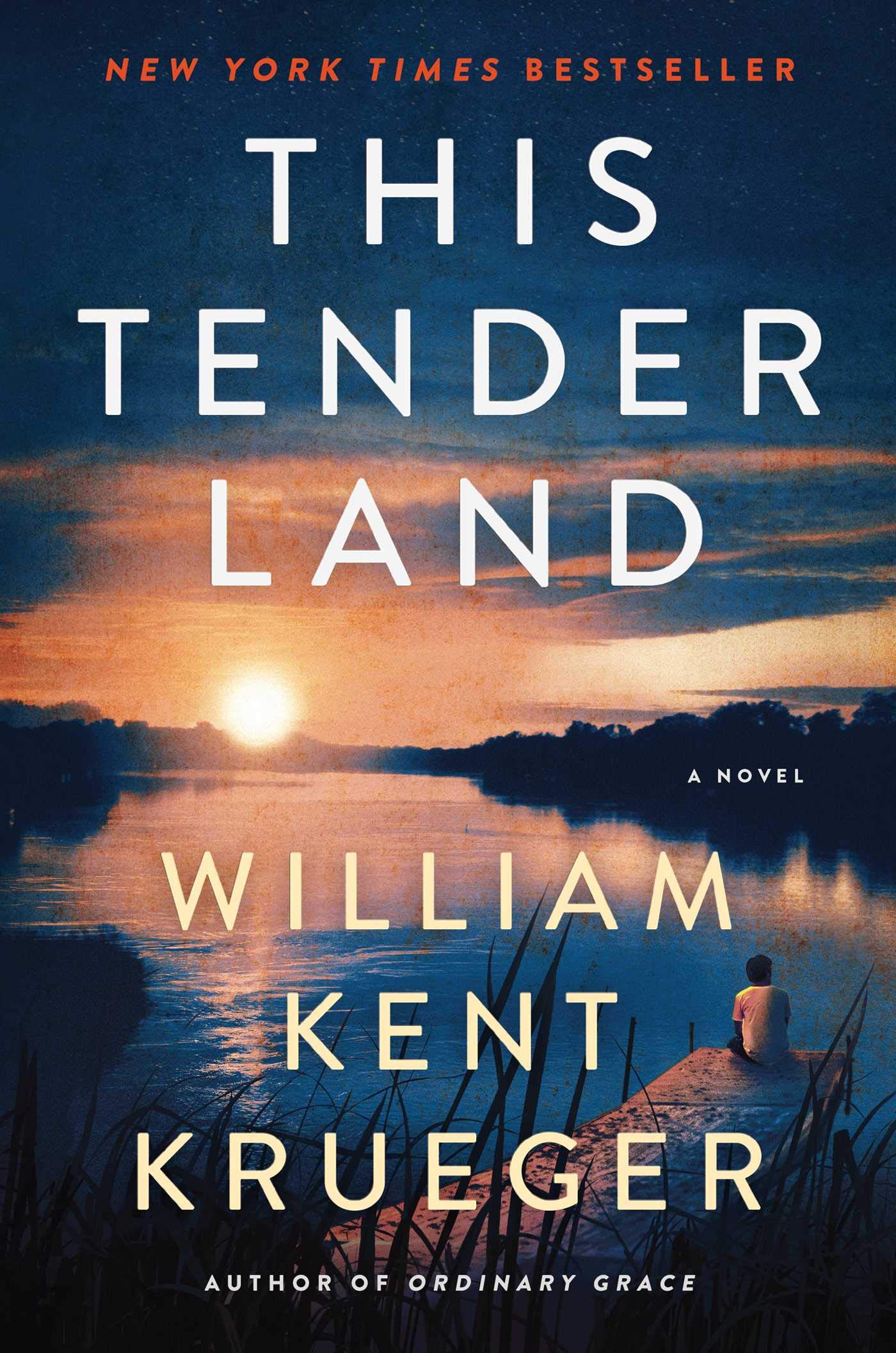 This Tender Land cover
