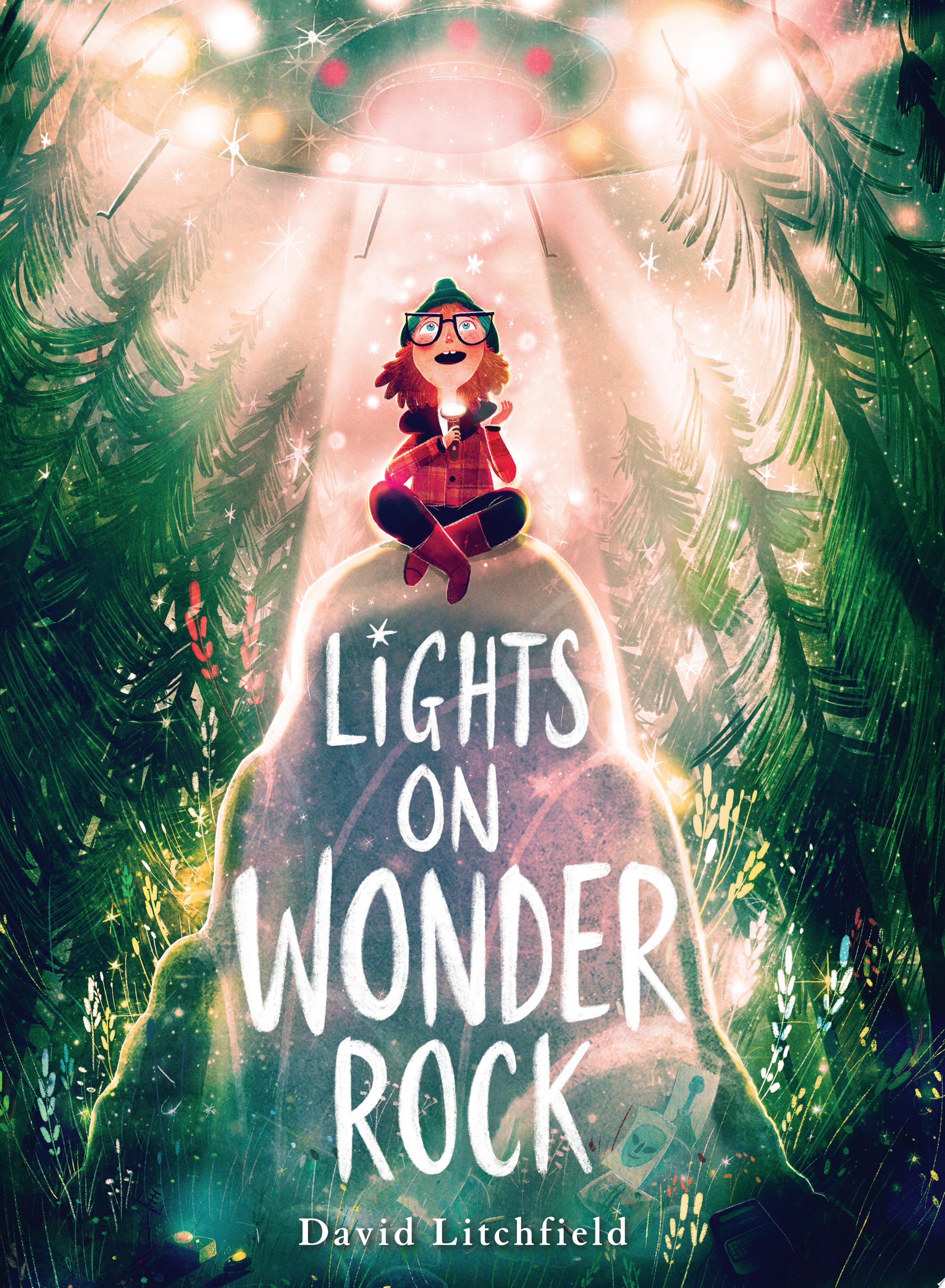 Image for "Lights on Wonder Rock"