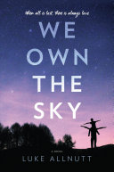 Image for "We Own the Sky"