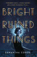 Image for "Bright Ruined Things"
