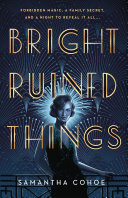 Image for "Bright Ruined Things"