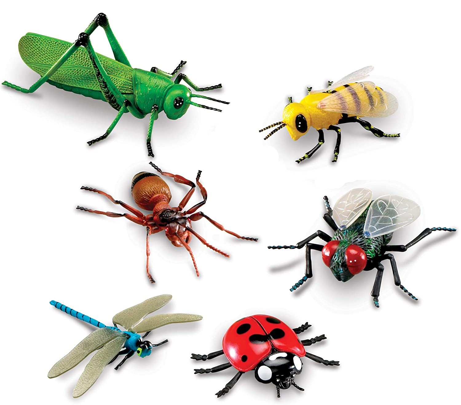 jumbo insect set (6 pieces)