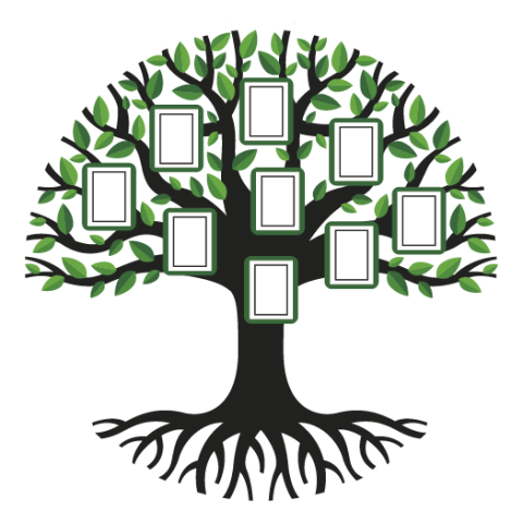 Graphic of Family Tree
